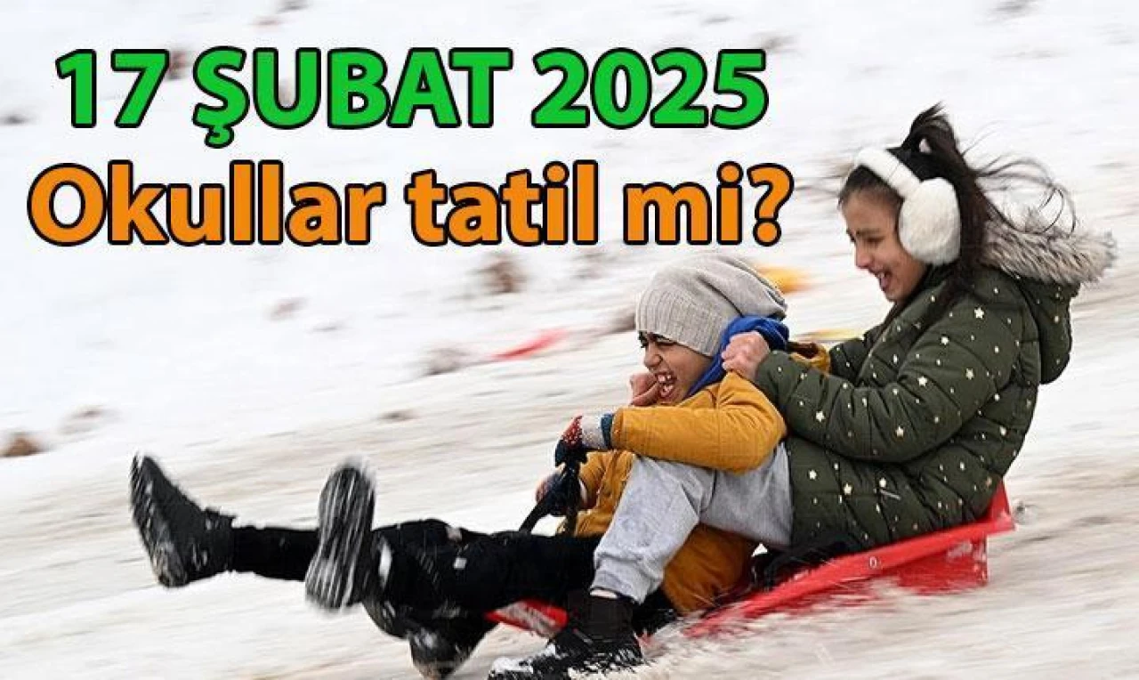 Okullar tatil mi 17 şubat? Hangi il ve ilçelerde okullar tatil edildi? İşte yarın kar tatili olan il ve ilçeler...