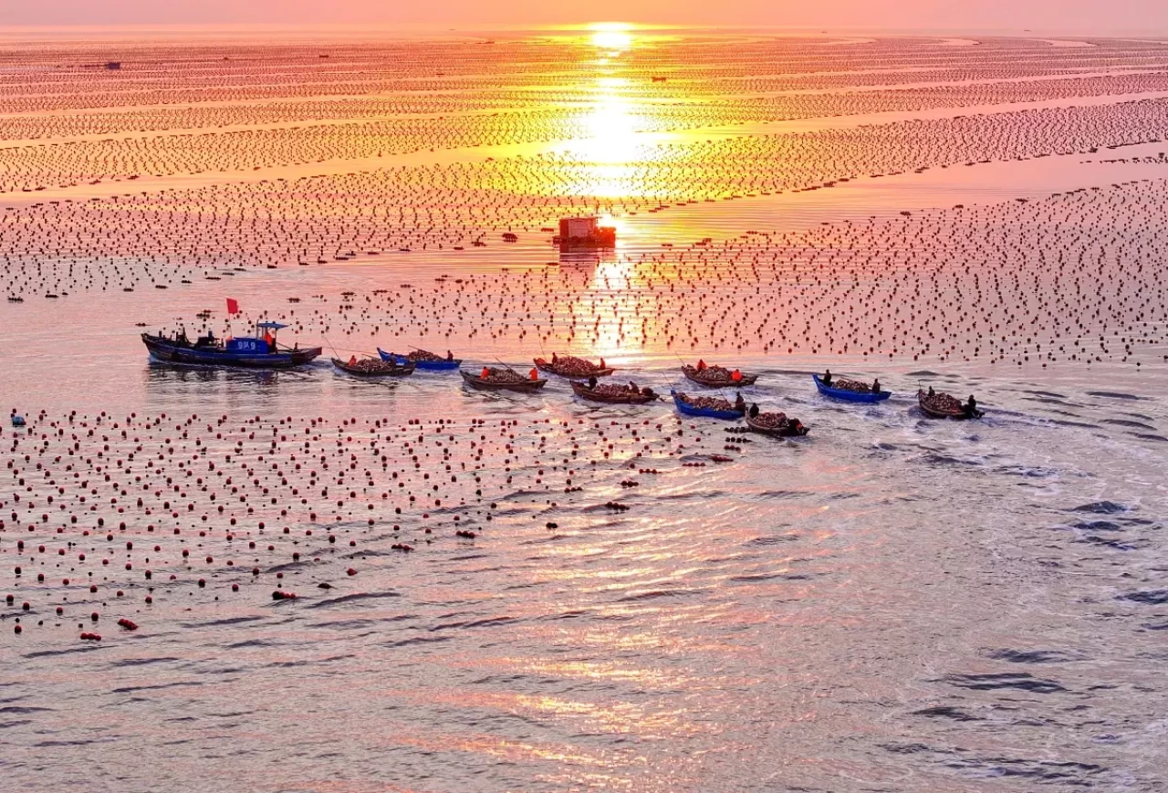 Çin'de Gıda Güvenliği İçin Modern Deniz Çiftlikleri İnşa Ediliyor!