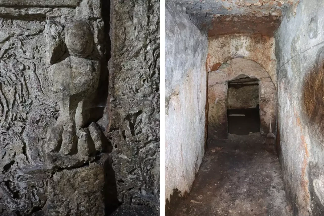 Bir evin avlusunda bulundu, ilk kez kayıt altına alındı