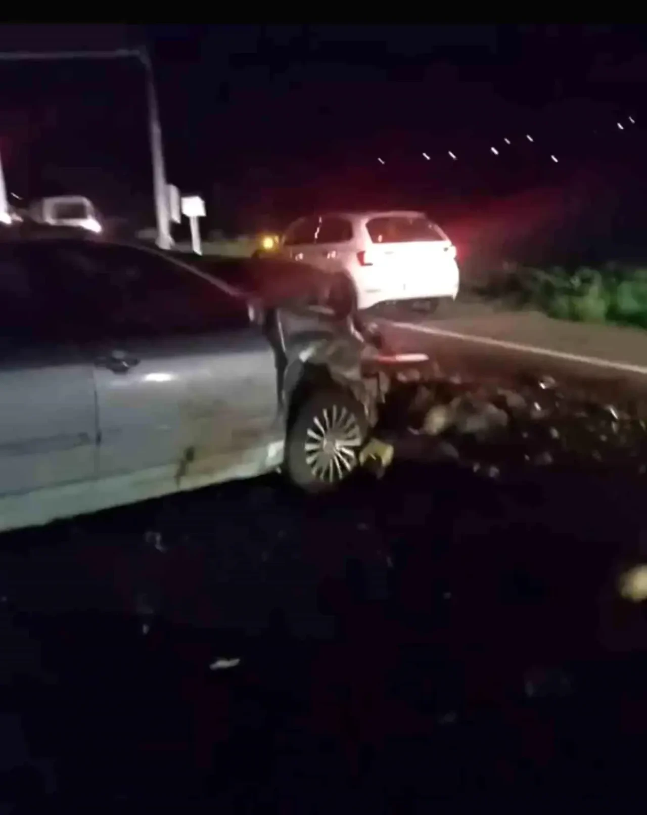 Iğdır'da Otomobil Hayvan Sürüsüne Çarptı, Koyunlar Telef Oldu!