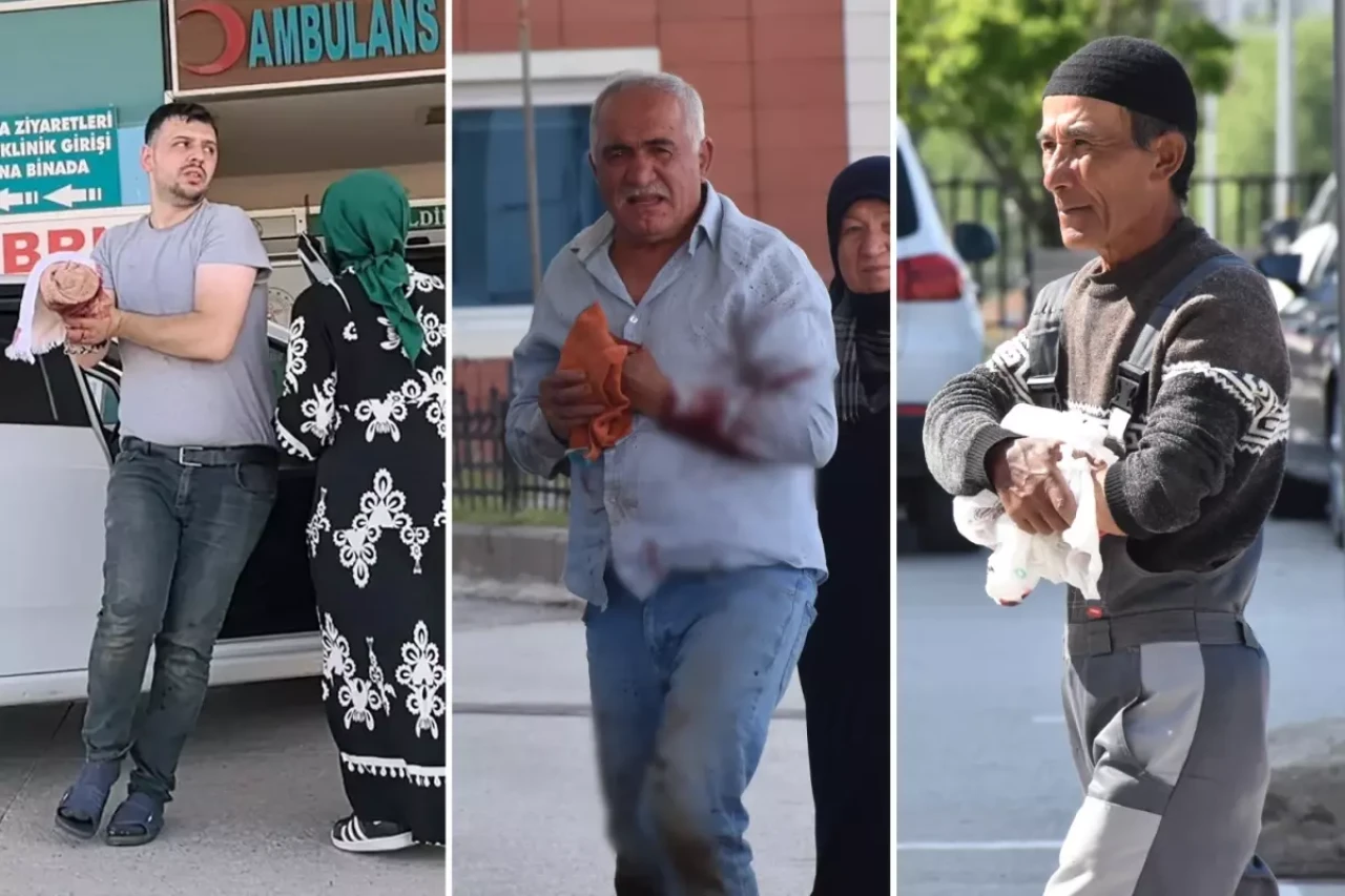 Bu Kurban Bayram'ında da manzara değişmedi! Acil servisler doldu!