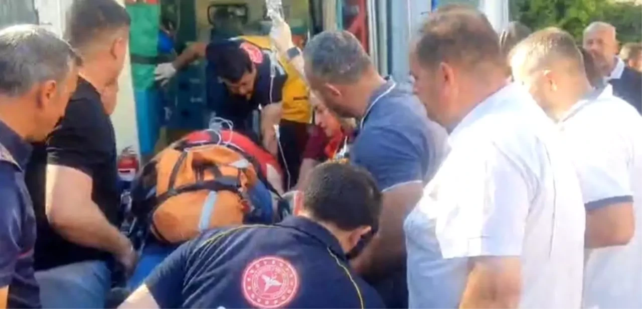 Balıkesir'de Asma Dallarını Temizlerken Düşen Caner A. Panik Oldu!