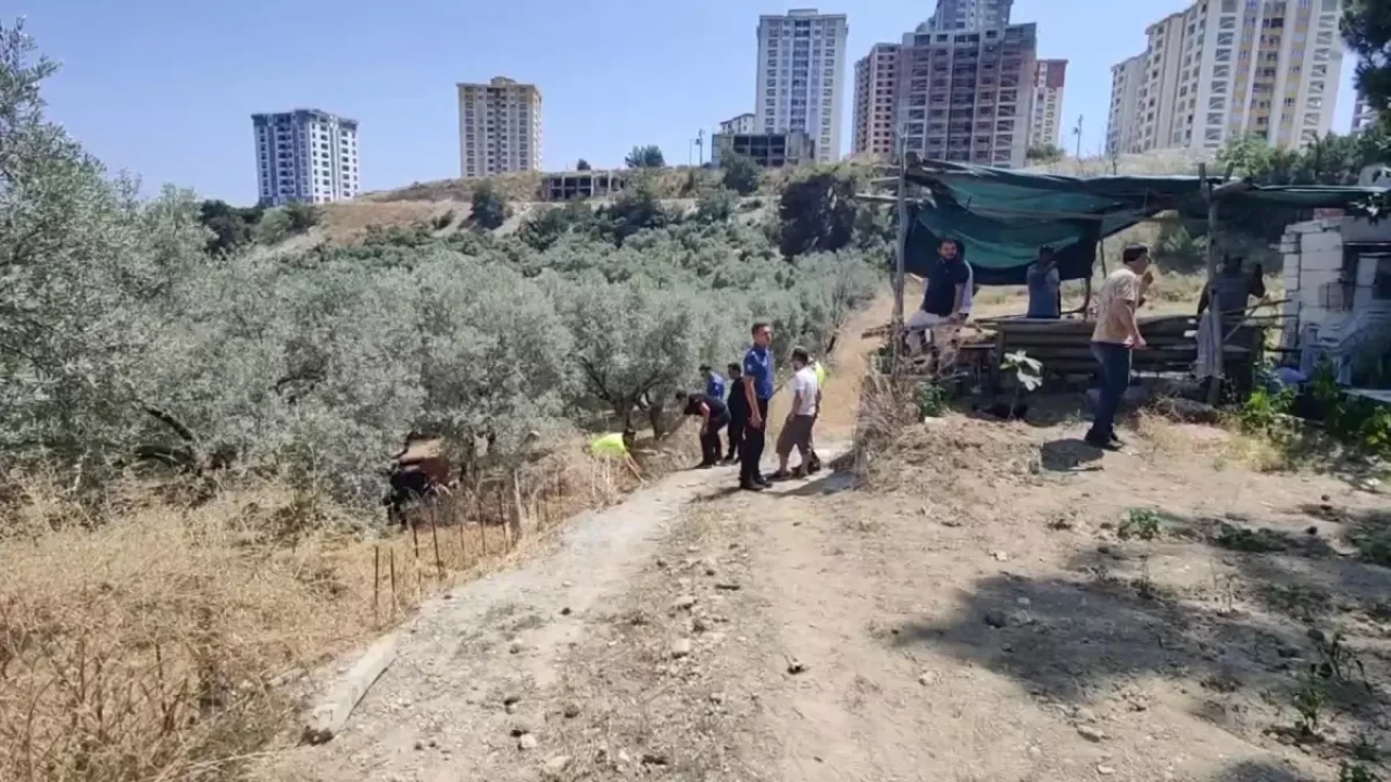 Kuşadası'nda Traktör Devrildi: Bahri Sürücü Hayatını Kaybetti!