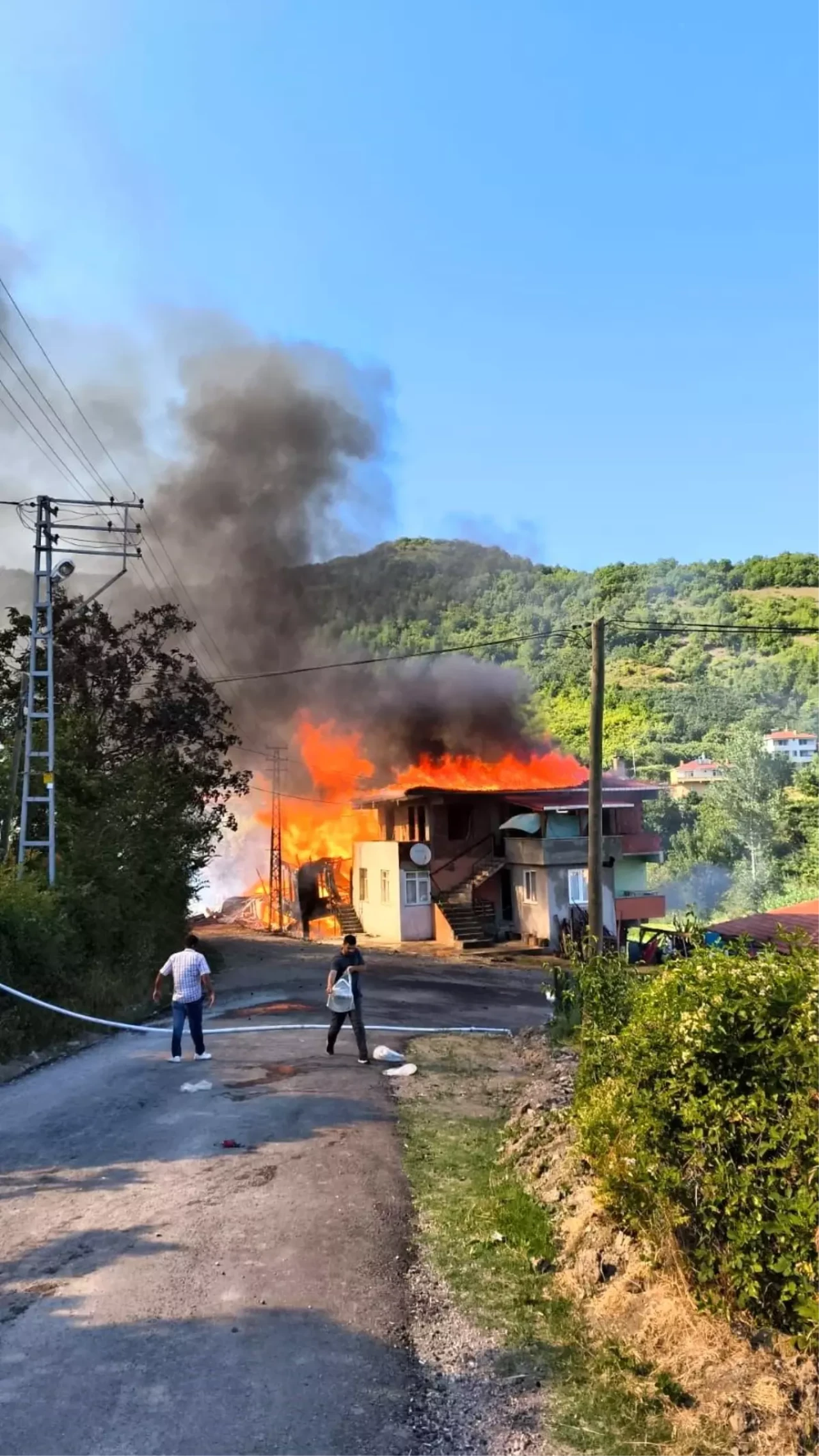 Kastamonu Cide'de Yangın: Eşek Telef Oldu, Ev Küle Döndü!
