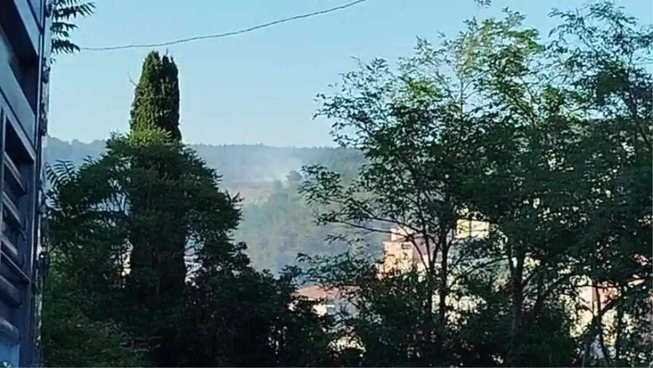İstanbul Sarıyer'de Orman Yangını Kısa Sürede Söndürüldü!