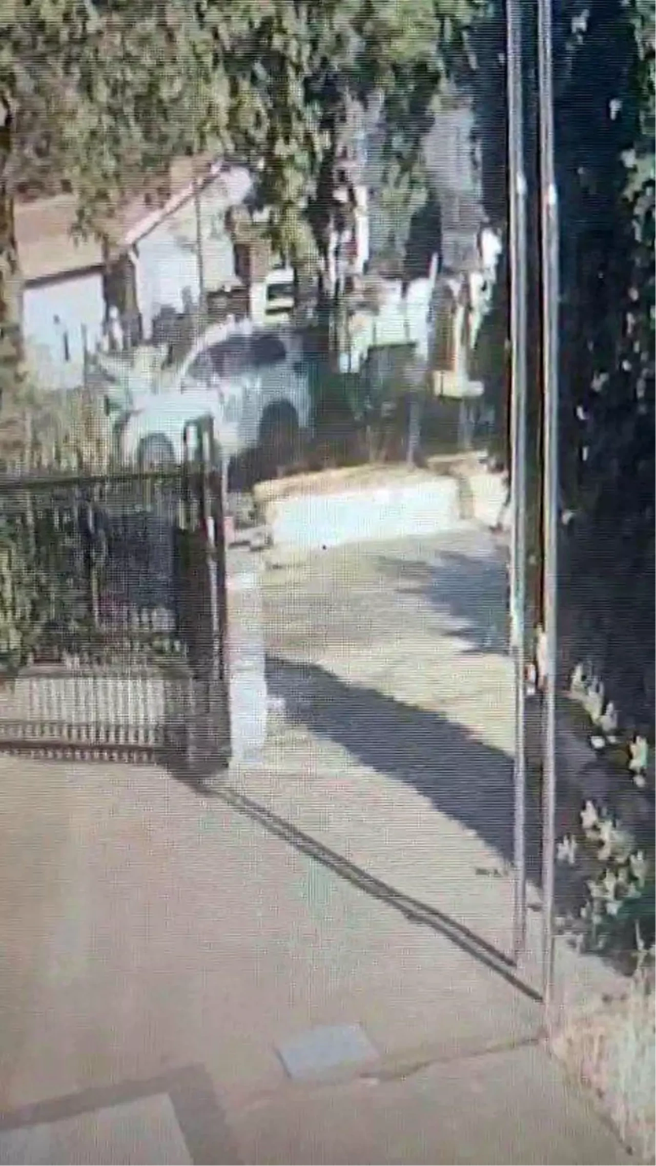 Tuzla'da Stajyer Öğrenci Esma Nur Aydın Kazada Hayatını Kaybetti!
