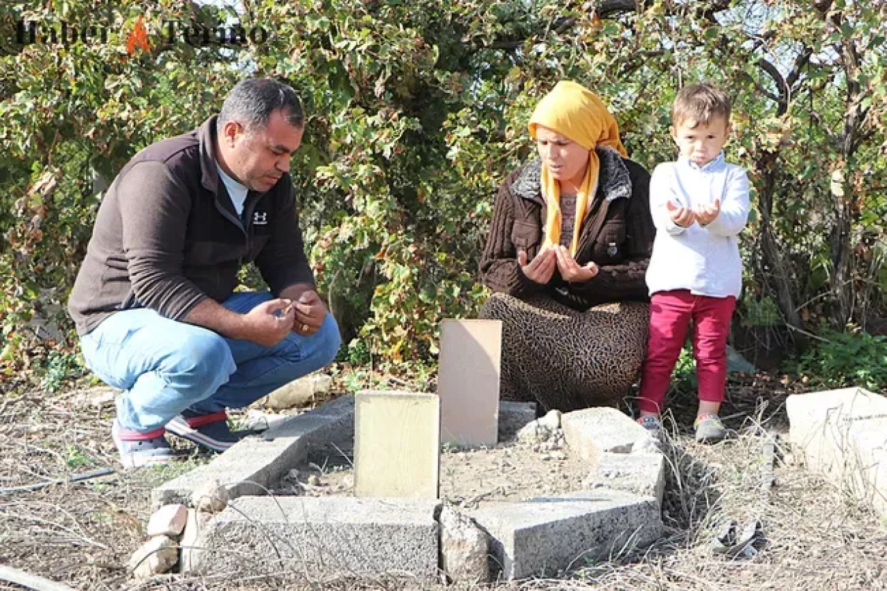 Adana'da Ölü Sanılan Bebek Skandalı: Doktorun Koyun Örneği Şoke Etti