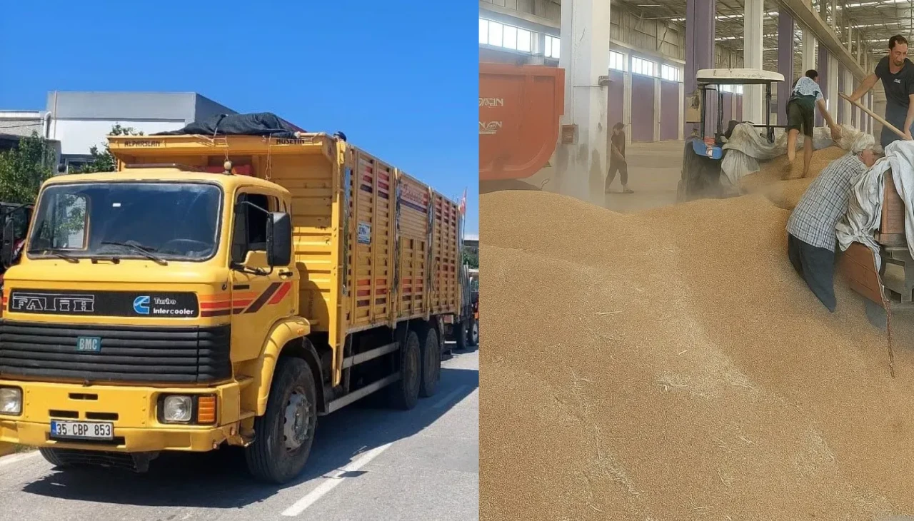 Türkiye'nin önemli bir tarım ürünü olan buğdayın alım sezonu TMO Tire depolarında başladı!