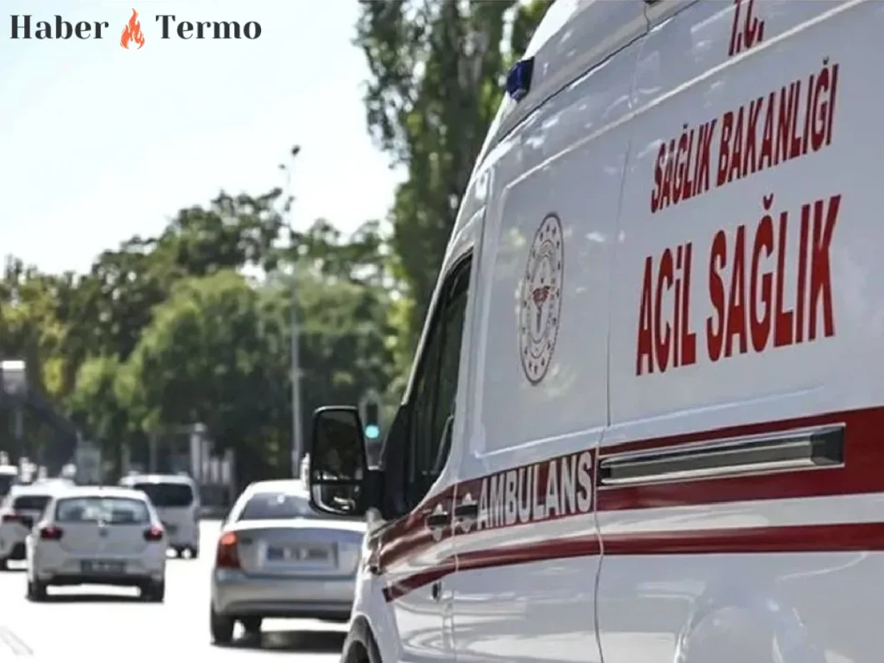 Aydın-Denizli Otoyolu'nda Feci Kaza: 84 Yaşındaki Fatma Gelirli Yaşamını Yitirdi!