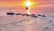 Çin'de Gıda Güvenliği İçin Modern Deniz Çiftlikleri İnşa Ediliyor!