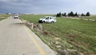 Şanlıurfa Siverek'te Trafik Kazası: , Fatime Suncak Öldü, 2 Yaralı!