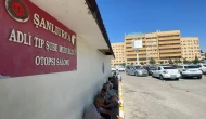 Ceylanpınar'da Çoban Mehmet Aksak Otomobilin Çarpmasıyla Öldü!