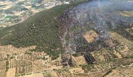 İzmir Foça'da Orman Yangını: 4 Kişi Gözaltına Alındı!