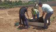 Mardin'de Trafik Kazası: Yunus Emre Kösen Hayatını Kaybetti!