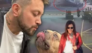 Şişli'de Feci Kaza: 2 Ölü, 6 Yaralı, Kayıp Köpek Dramı