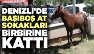 Denizli'de Kaçan At, Şehir Merkezini Birbirine Kattı!