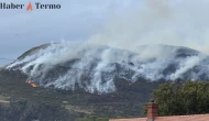 İskoçya’daki Arthur’s Seat Tepesi’nde yangın çıktı!