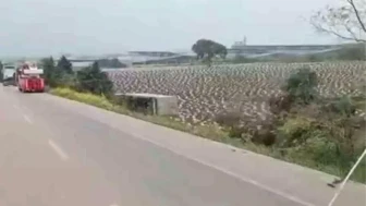 Bursa-Balıkesir Yolu'nda Tır Tarlaya Uçtu, Vinçle Kurtarıldı