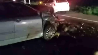 Iğdır'da Otomobil Hayvan Sürüsüne Çarptı, Koyunlar Telef Oldu!