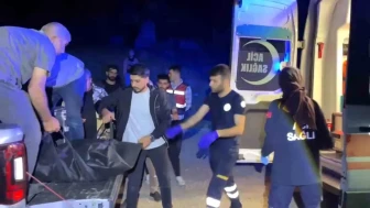 Pancara Giderken Uçurumdan Düşen Hanım Tekdemir Hayatını Kaybetti!