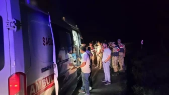 Bingöl'ün Genç İlçesinde Trafik Kazası: 4 Kişi Yaralandı!