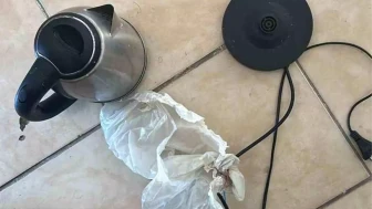 Elektrik Akımına Kapılan Kadın Zeynep Özer Hayatını Kaybetti!