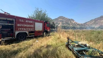 Aydın İncirliova'da Zeytinlik Yangını Panik Yarattı!