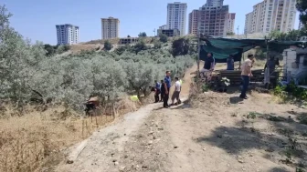 Kuşadası'nda Traktör Devrildi: Bahri Sürücü Hayatını Kaybetti!