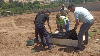 Mardin'de Trafik Kazası: Yunus Emre Kösen Hayatını Kaybetti!