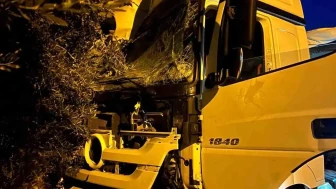 Mersin'de Tır, Kontrolden Çıkarak Yoldan Çıktı ve Trafiği Felç Etti!