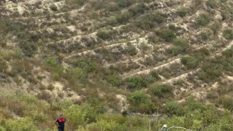 Hatay Arsuz'da Otomobil Uçuruma Yuvarlandı: 4 Yaralı!