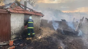 Kırklareli'nde Yangın: 600 Saman Balyası Yandı, Kül Oldu!