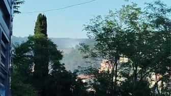 İstanbul Sarıyer'de Orman Yangını Kısa Sürede Söndürüldü!