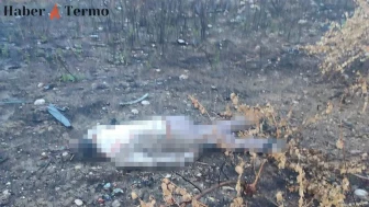 Mersin'de Gizemli Kaza: Sürücü 30 Metre Aşağıda Ölü Bulundu