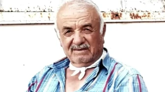 Gaziantep'te Traktör Kazası: Çiftçi Ağaç Dalına Çarparak Öldü