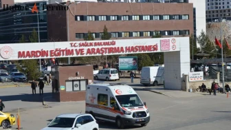 Mardin'de Park Halindeki Araçta 27 Yaşında Mansur Barak Ölü Bulundu.