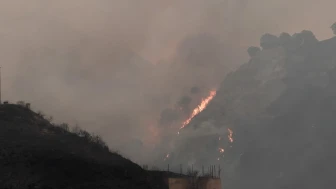 İtalya’nın Sardinya Adası’nda 20 farklı noktada orman yangını çıktı!