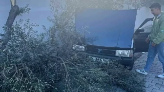 Denizli Buldan'da Hız Kazası: Otomobil Zeytin Ağacına Çarptı