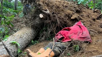 Trabzon'da İş Kazası: Coşkun Bayrak Ağaç Altında Kalarak Öldü