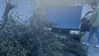 Denizli Buldan'da Hız Kazası: Otomobil Zeytin Ağacına Çarptı