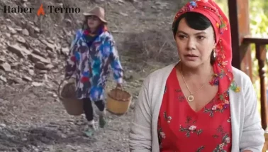 Ekmek Teknesi’nin Mehpare’si Mehtap Bayri Zeytin Üreticisi Oldu: İşte Fiyatı