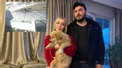 Denizli'de insanlık dışı olay! Köpeğin Ayaklarını bağladı çöp konteynerine attı!