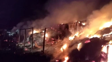 Kırklareli'nde Yangın, Hayvanlar Acil Tahliye Edildi!