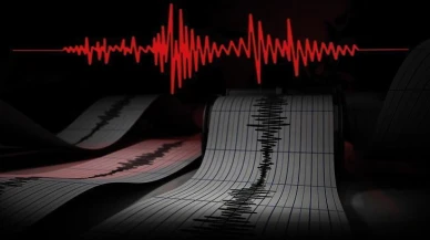 Bingöl'de meydana gelen 4.8 büyüklüğündeki deprem endişelendirdi!
