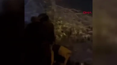 Yalova'da Kar Yağışının Neden Olduğu Felaket Kaza!