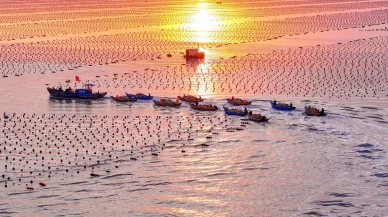 Çin'de Gıda Güvenliği İçin Modern Deniz Çiftlikleri İnşa Ediliyor!