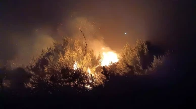 Hatay'da Zeytinlik Yangını Kontrol Altına Alındı