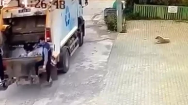 İzmir'de Çöp Kamyonu Köpeği Ezdi, Sürücü Açığa Alındı!