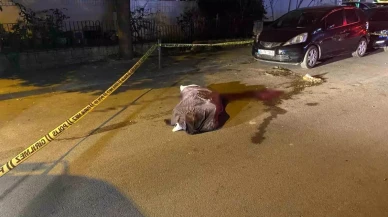 Kadıköy'de Çöp Kamyonu Kazası: 82 Yaşındaki I.Y. Hayatını Kaybetti!