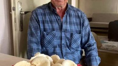 Karasu'da Traktör Kazası: Mustafa Menteşe 65 Yaşında Hayatını Kaybetti